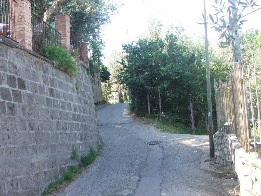 Villetta Surriento Sorrento Exterior foto